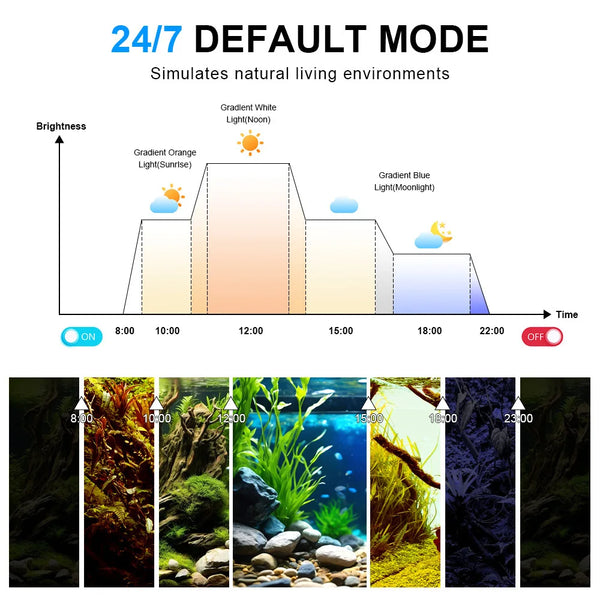A series of images showing various natural environments like forests, water, and plants under different lighting conditions.