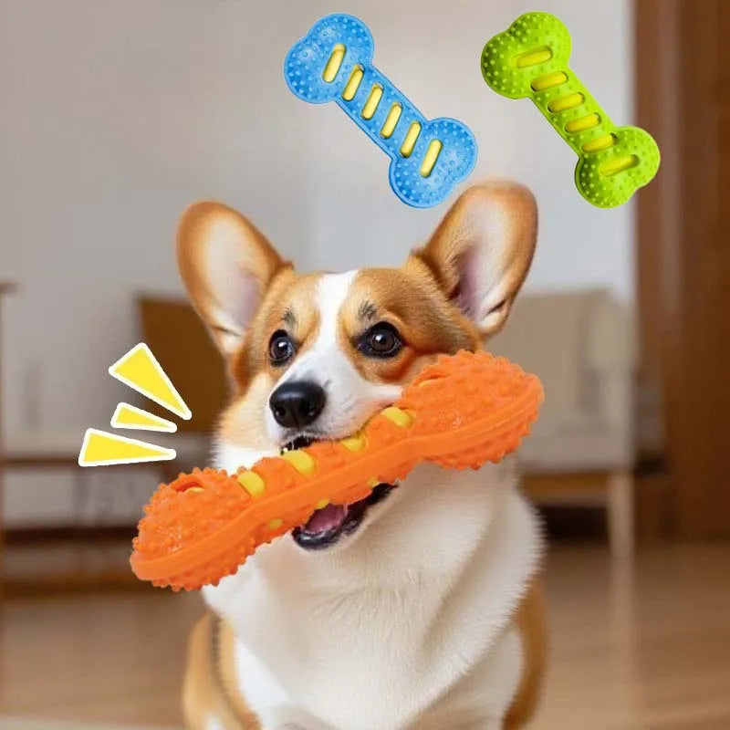 Robustes Quietschendes Knochen-Hundespielzeug