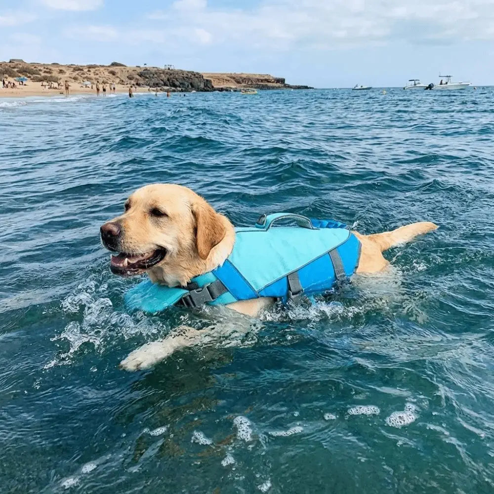 Adjustable Dog Life Jacket with Reflective Stripes