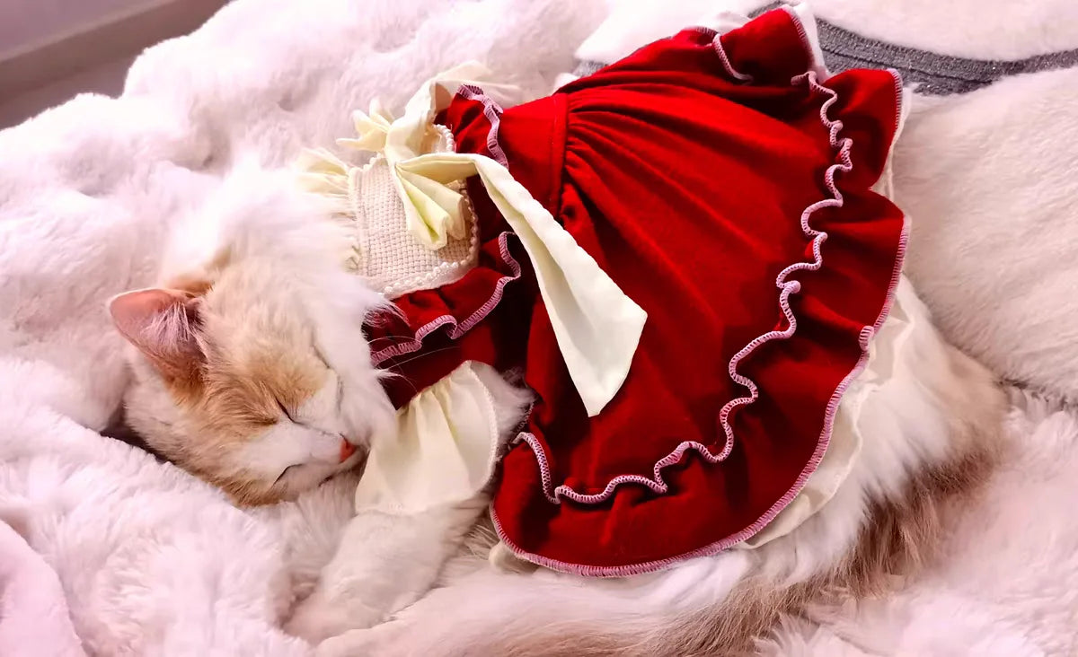 Elegant Cotton Pet Dress with Bow for Small Dogs and Cats