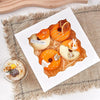 Set of 10 Cake Boxes with Clear Window for Bakery and Gifting