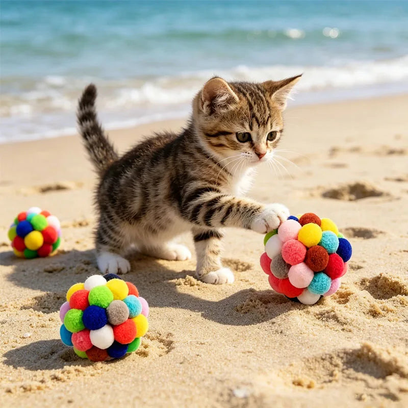 A kitten plays with colorful, fuzzy jingle bell-shaped cat toys on a sandy beach.