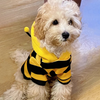 Sudadera de Halloween Acogedora para Mascotas