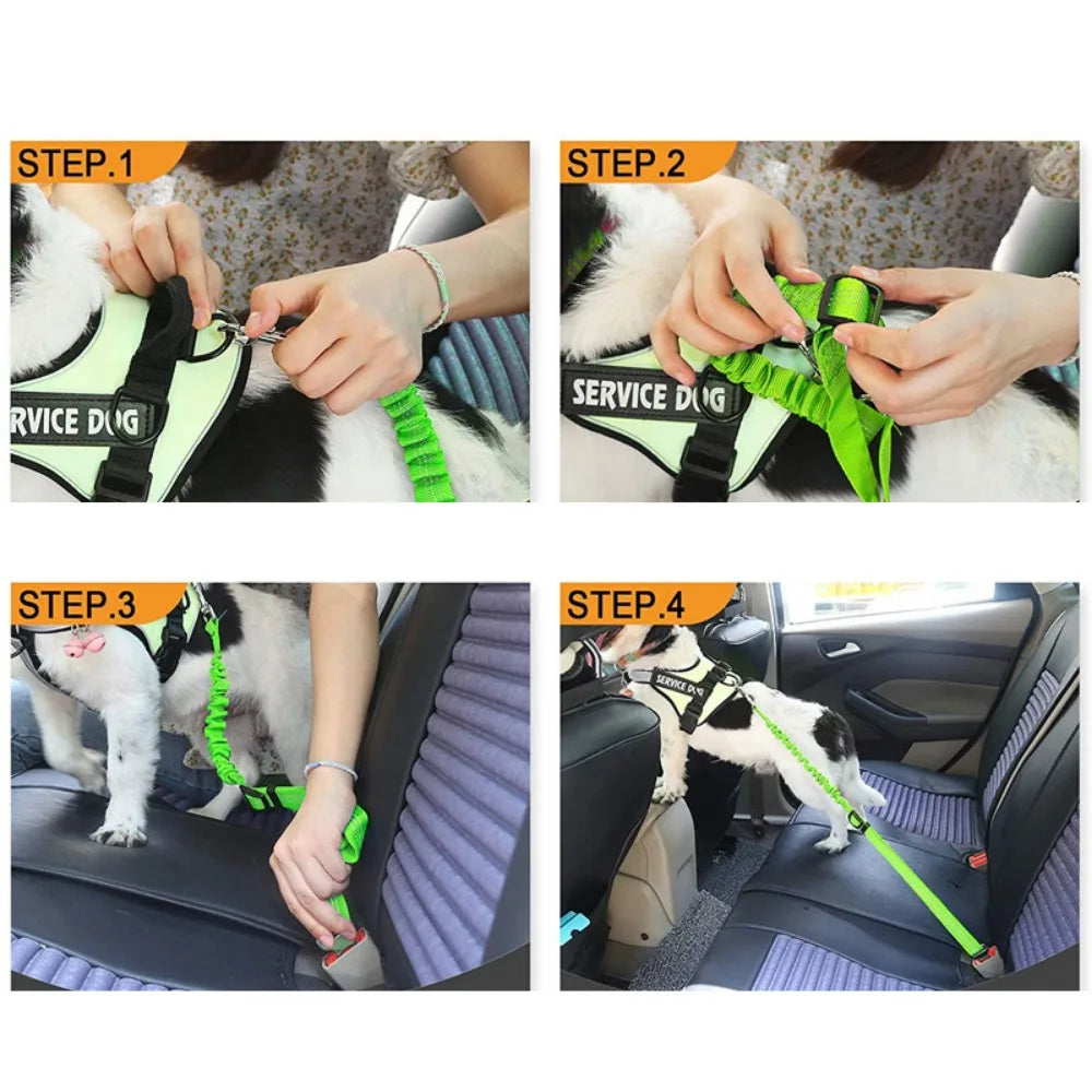 Reflective Adjustable Dog Car Seat Belt with Bungee Harness