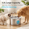 A golden retriever and a tabby cat drinking water from a 3.2L stainless steel pet water fountain.