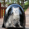 Sac à dos de voyage transparent pour animaux avec ventilation