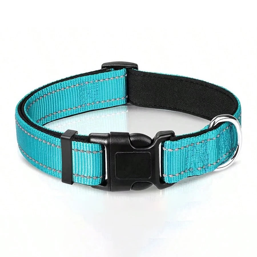 A turquoise padded dog collar with black buckle and safety stripes.