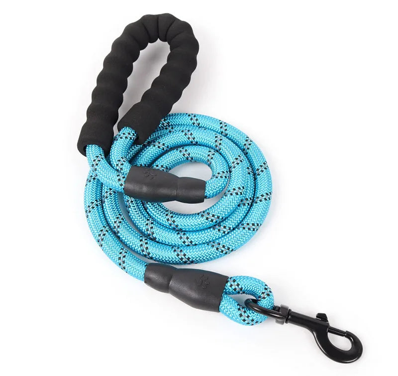 A coiled blue reflective nylon dog leash with a black padded handle and carabiner clip.