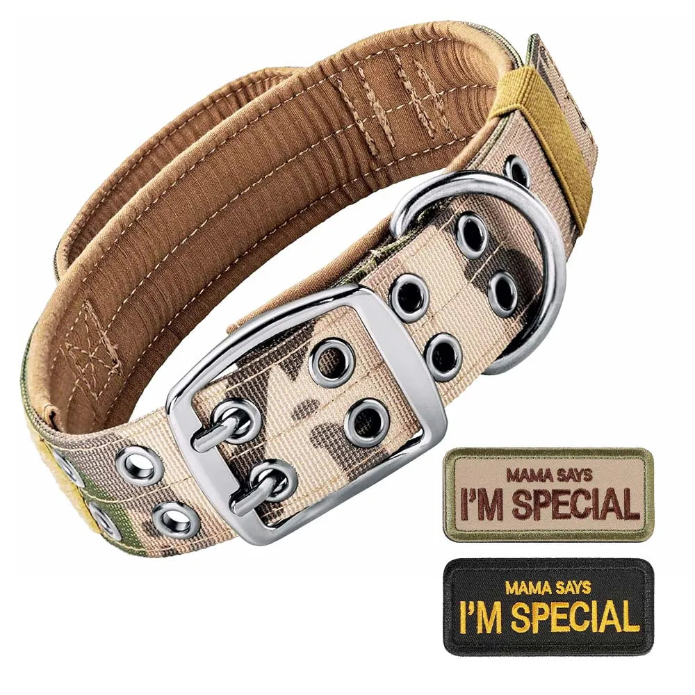 A tan nylon tactical dog collar with a silver buckle and reflective details, shown against a white background.