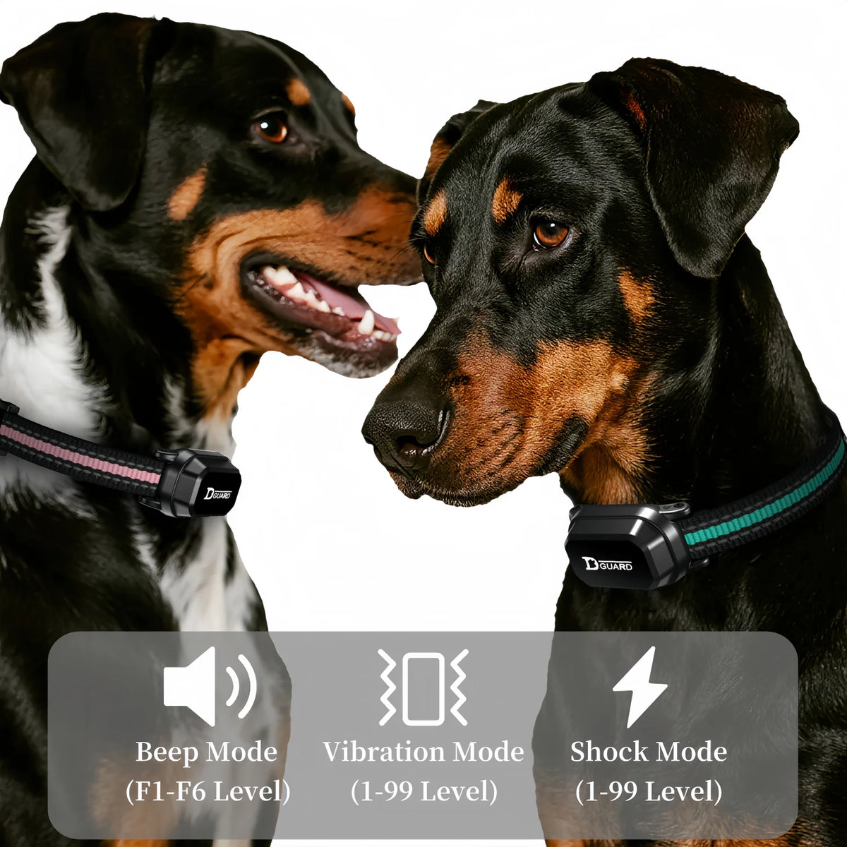 Remote Dog Training Collar with Vibration and Static Stimulation