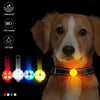 Collier de sécurité LED rechargeable par USB pour animaux