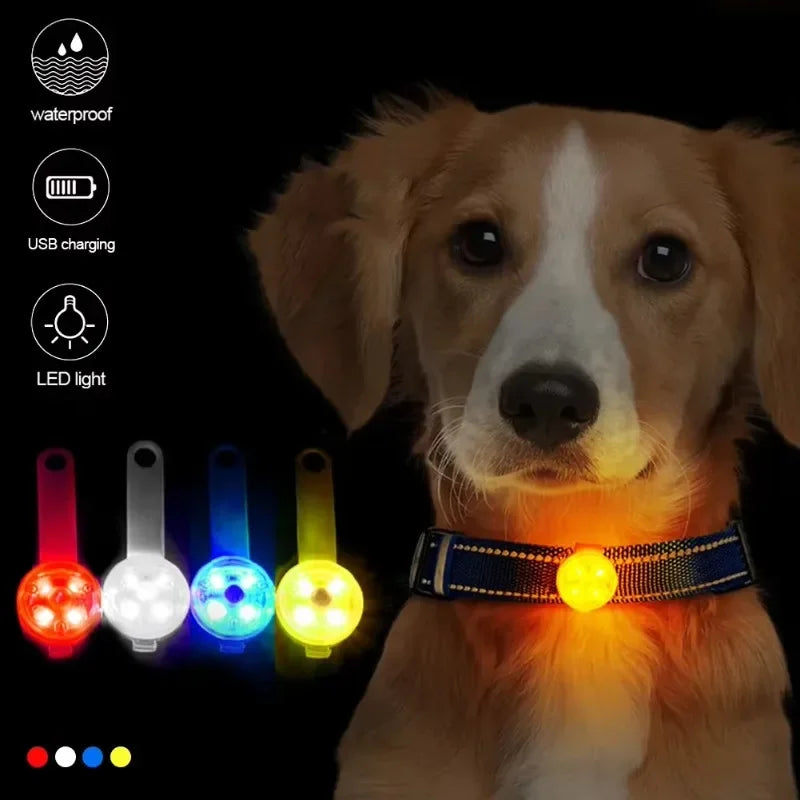 Collier de sécurité LED rechargeable par USB pour animaux