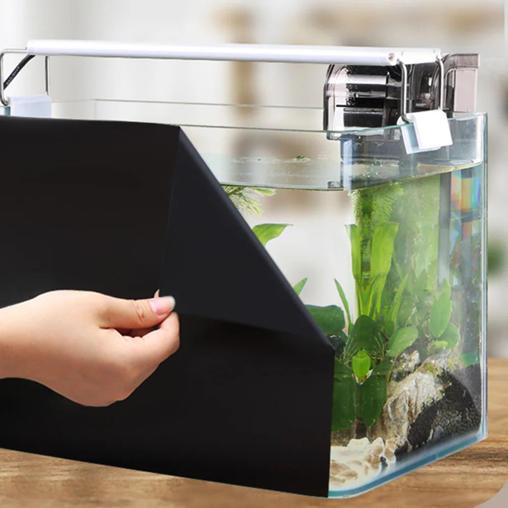 A hand is holding a black aquarium background film box over a glass aquarium with aquatic plants.