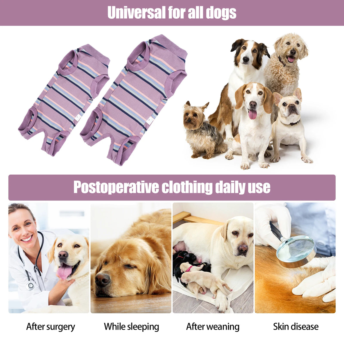 Breathable Dog Recovery Suit for Post-Surgery Protection