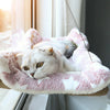 Window-Mounted Cat Hammock with Suction Cup Mount