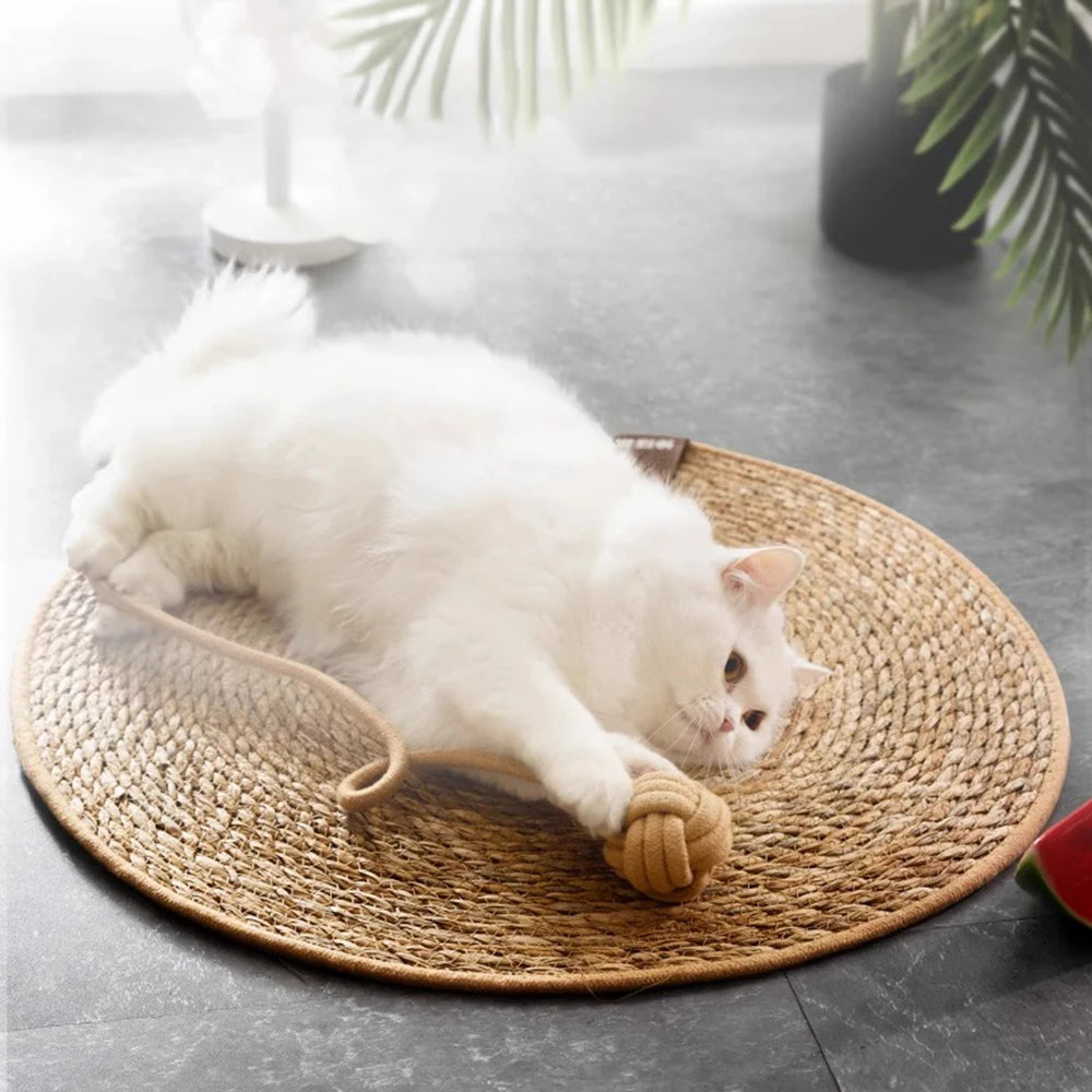 A white cat is lying on a round natural rattan mat, using a rope toy as a scratcher.