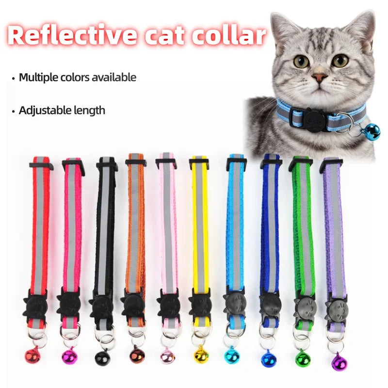 A variety of reflective cat collars in different colors and lengths are displayed next to a tabby cat.