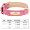Personalisiertes Leder-Hundehalsband mit graviertem ID-Tag