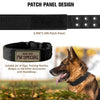 Heavy-Duty Nylon Dog Collar with Padded Lining and Metal Buckle