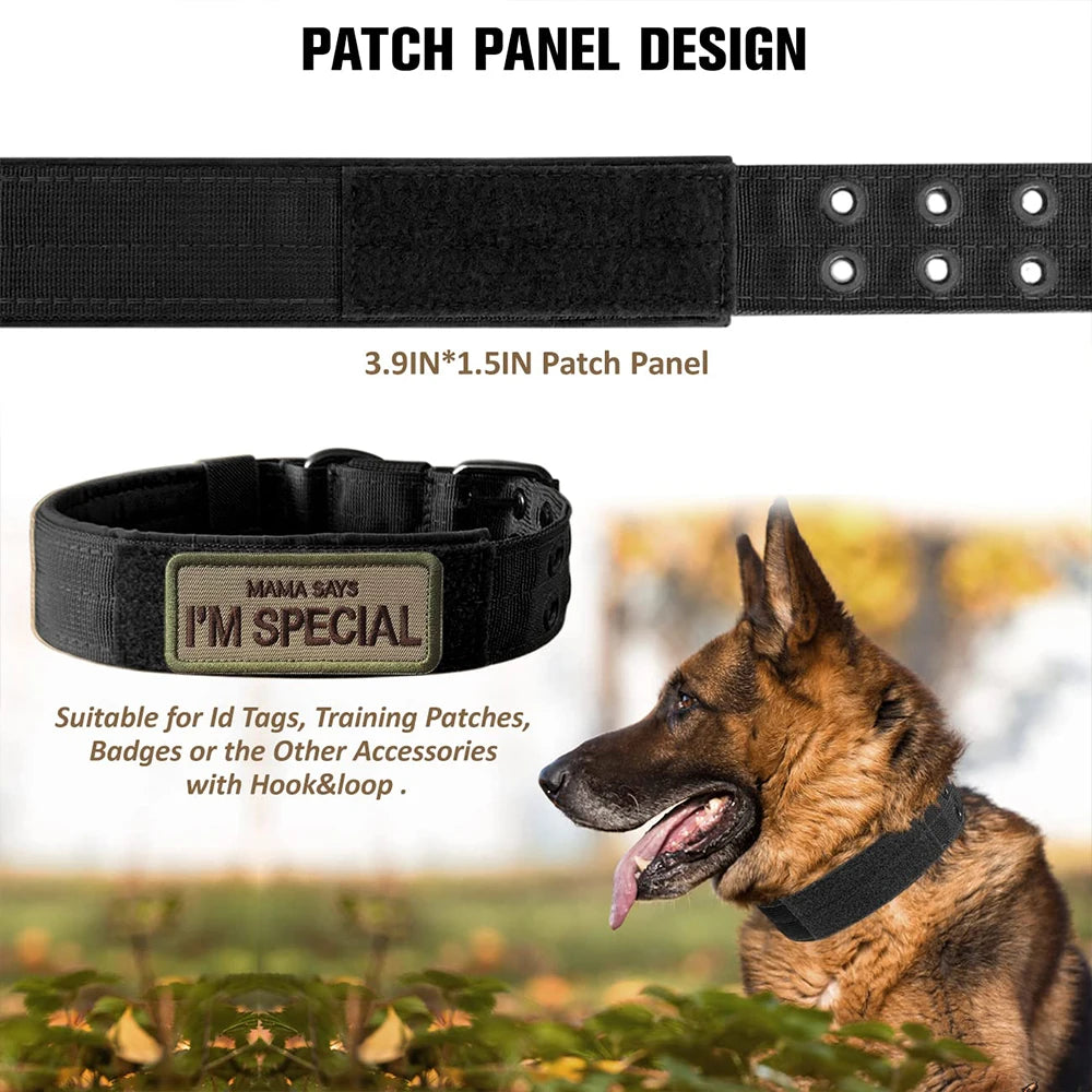 Heavy-Duty Nylon Dog Collar with Padded Lining and Metal Buckle