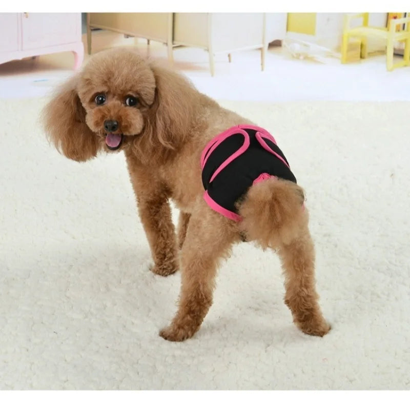Reusable Dog Diapers for Heat Cycles and Incontinence