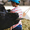 Natural Pink Salt Lick Blocks for Horses and Livestock