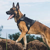 Tactical Dog Harness with Handle and Hook & Loop Panels