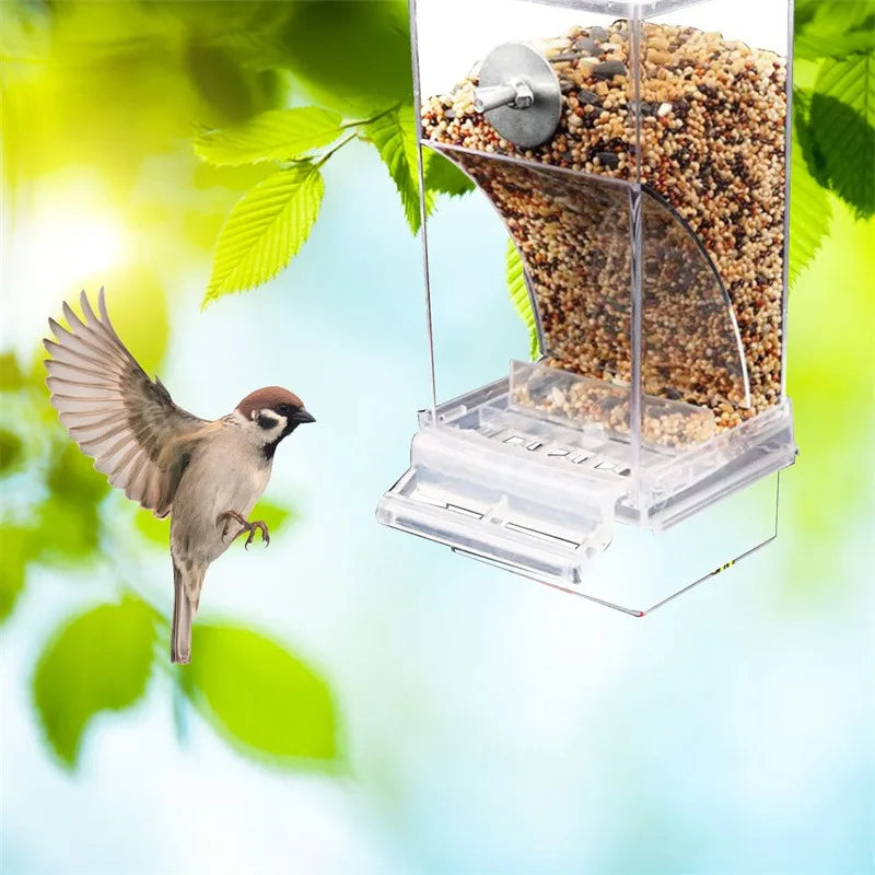 Klares Acrylvogelfutter mit Saat- und Wasserbehälter, hängend an einem grünen Blatt.
