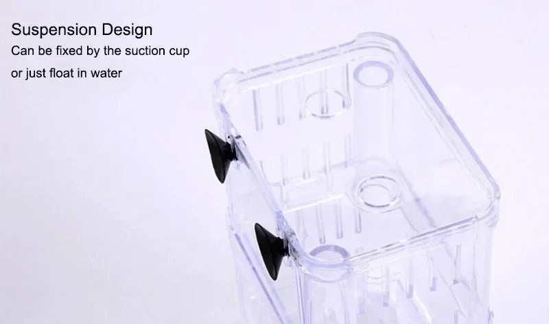 Acrylic Fish Breeding Isolation Box with Double Compartments