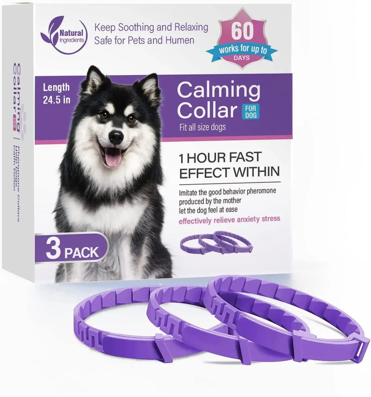 Una caja de 3 collares calmantes para perros junto a collares morados.