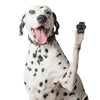 Dog Paw Grips with Traction Pads for Senior Dogs on Slippery Floors