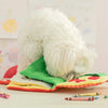 Dog Snuffle Book Toy with Squeaker, Interactive Puzzle and Slow Feeder for Small Dogs