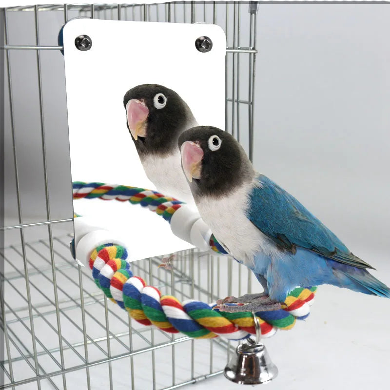 Interactive Parrot Activity Station with Mirror and Rope Perch