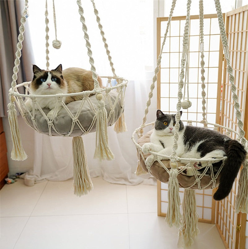 Two cats are relaxing in hand-woven cotton hammocks with cushions suspended from a wooden frame.
