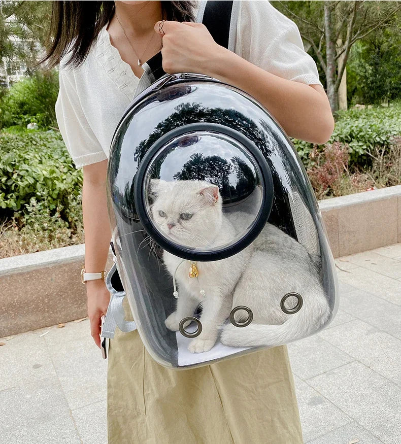 Transparent Bubble Pet Carrier Backpack for Small Dogs and Cats