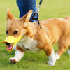 Cute Duck Bill Dog Muzzle for Small Breeds