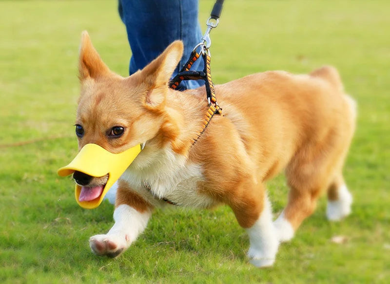 Cute Duck Bill Dog Muzzle for Small Breeds