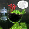 Acrylic Aquarium Plant Cup with Suction Holder