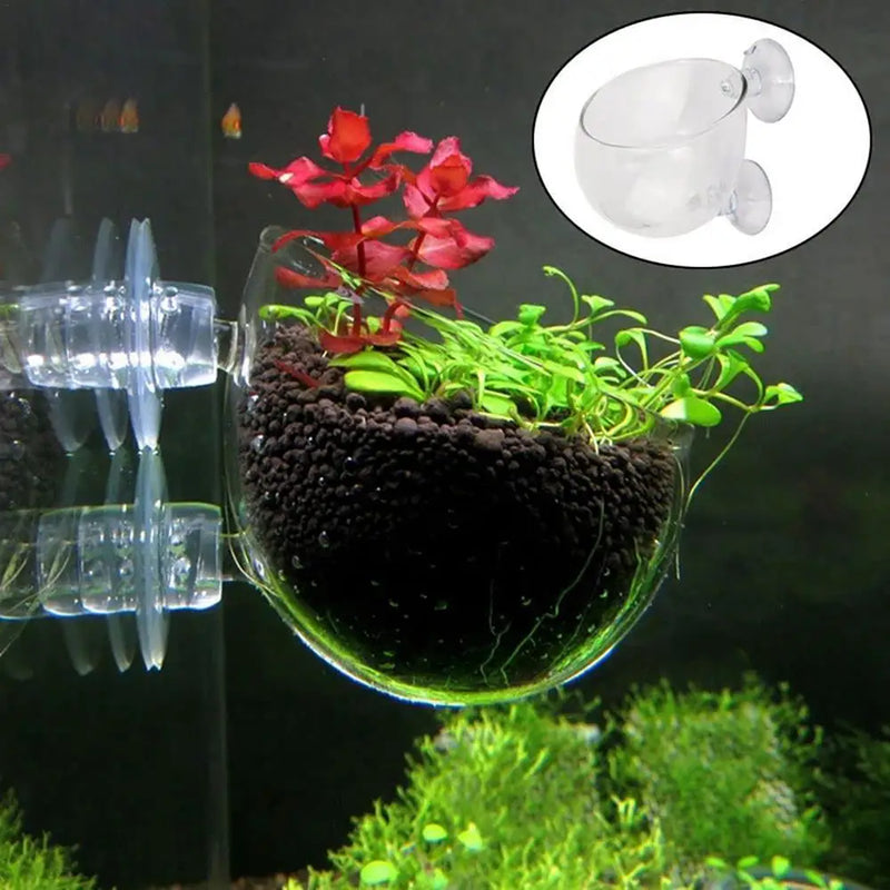 Acrylic Aquarium Plant Cup with Suction Holder