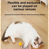 Interactive Automatic Rolling Cat Toy with Tail