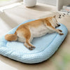 A light brown and white dog is relaxing on a blue ice silk cooling pet bed on a wooden floor.