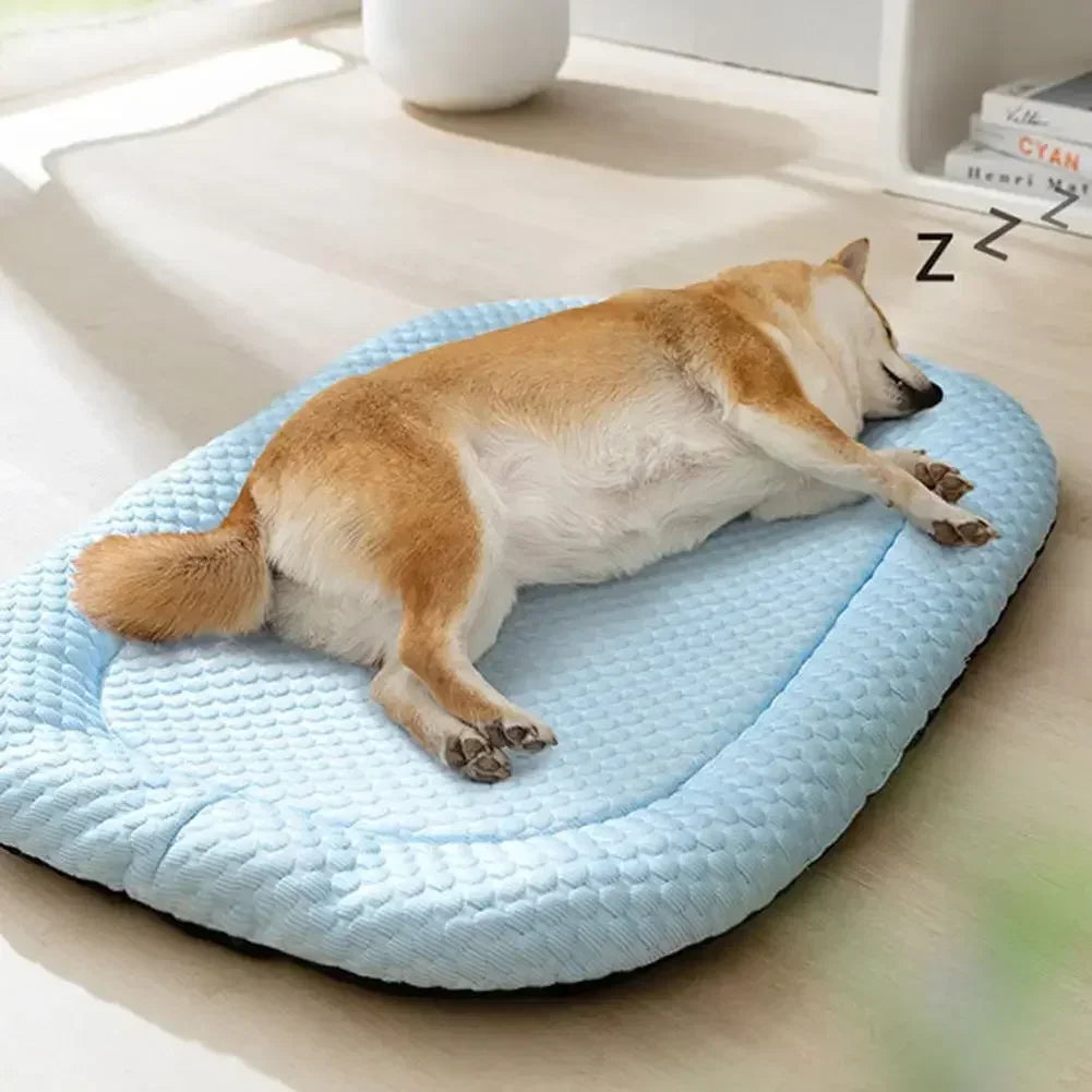 A light brown and white dog is relaxing on a blue ice silk cooling pet bed on a wooden floor.