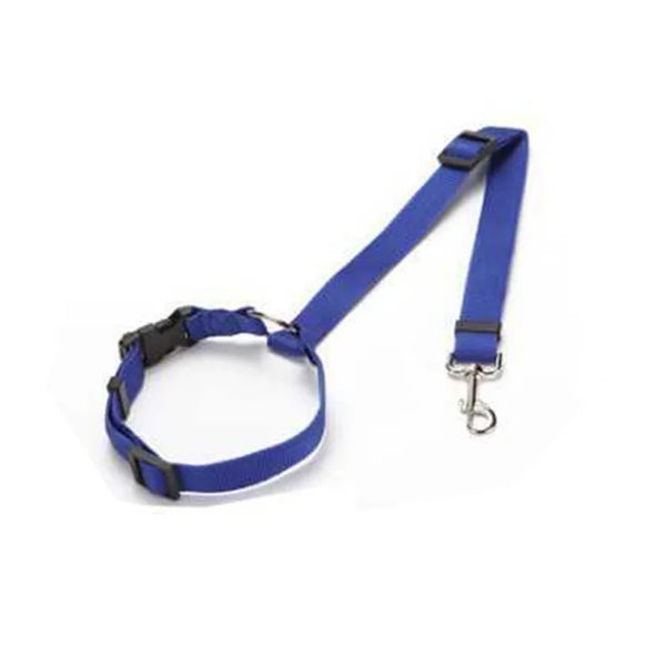 Blue adjustable pet harness and leash combo