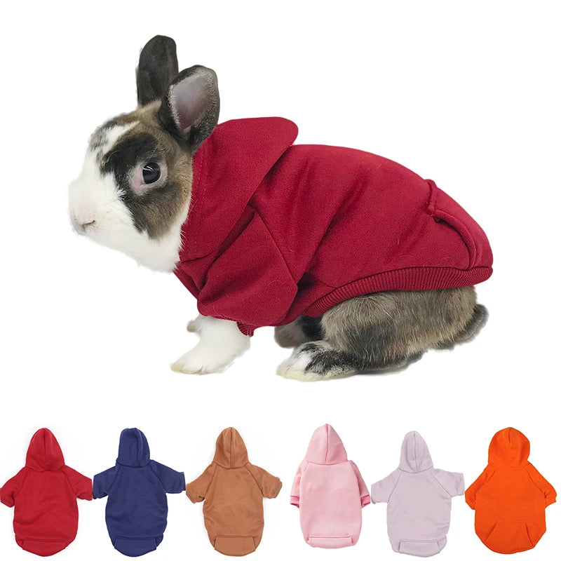 Collection de pulls pour lapins confortables dans diverses couleurs : rouge, bleu, marron, rose, lavande et orange.
