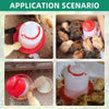 4L Automatic Chicken Coop Water Dispenser