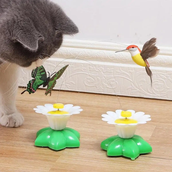 A small orange and yellow butterfly toy is suspended in the air near a cat and green flower-shaped toys.