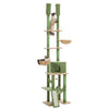 A floor-to-ceiling green cat tree tower featuring hammocks, scratching posts, and a hideaway for a cat.