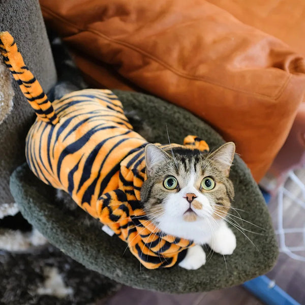 A tabby cat wearing an orange and black striped fleece hoodie, resting on a green fabric cushion.