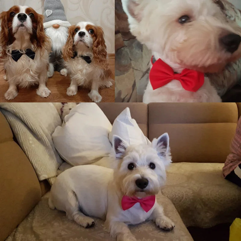 Pet Bow Tie Collar with Adjustable Strap