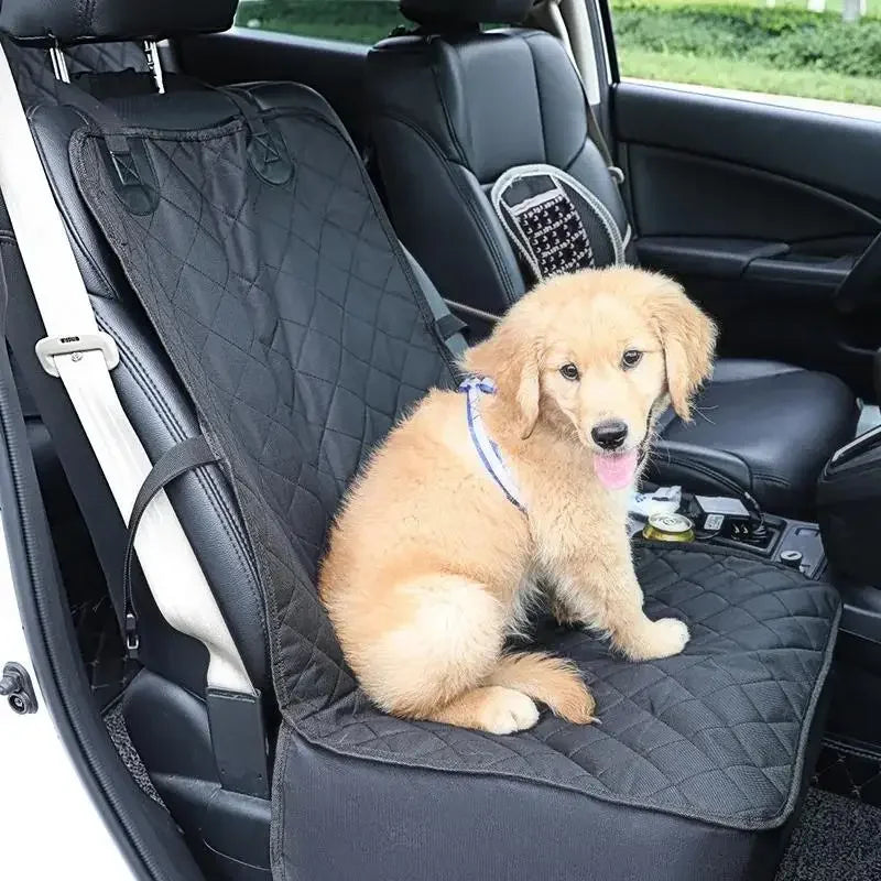 Un chiot de golden retriever est assis dans une caisse de transport pour animaux pliante noire à l'intérieur d'un véhicule.